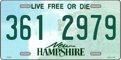 NH license plate 3612979