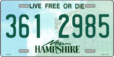 NH license plate 3612985