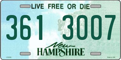 NH license plate 3613007