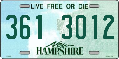NH license plate 3613012