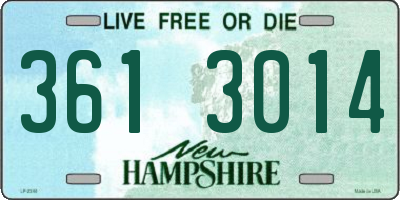 NH license plate 3613014