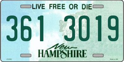 NH license plate 3613019