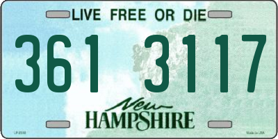 NH license plate 3613117