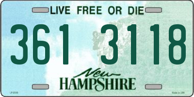 NH license plate 3613118