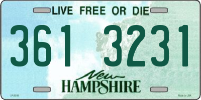 NH license plate 3613231