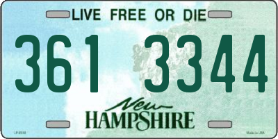 NH license plate 3613344