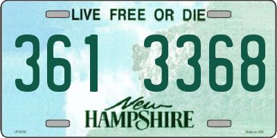 NH license plate 3613368