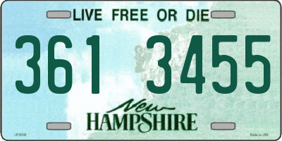 NH license plate 3613455
