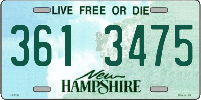 NH license plate 3613475