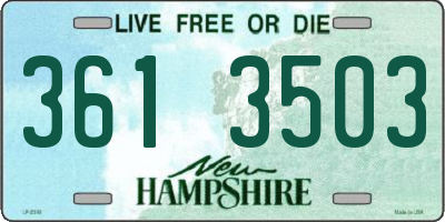 NH license plate 3613503
