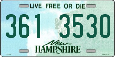 NH license plate 3613530