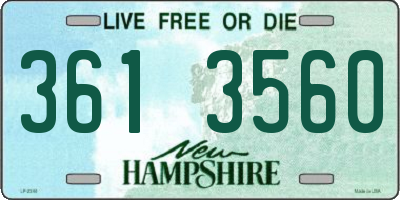 NH license plate 3613560