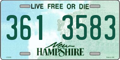 NH license plate 3613583