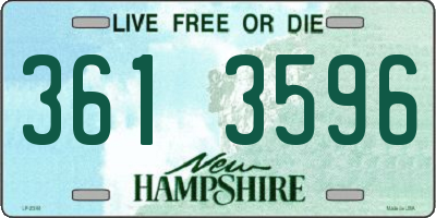NH license plate 3613596