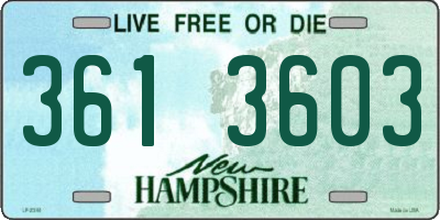 NH license plate 3613603