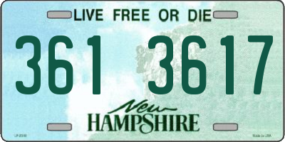 NH license plate 3613617