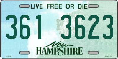 NH license plate 3613623