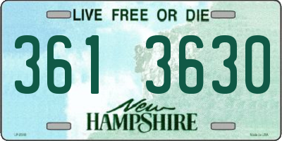 NH license plate 3613630