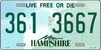 NH license plate 3613667
