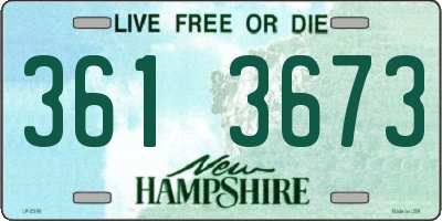 NH license plate 3613673