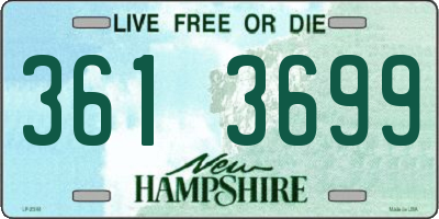 NH license plate 3613699