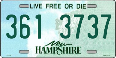 NH license plate 3613737