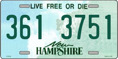NH license plate 3613751