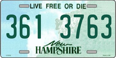 NH license plate 3613763