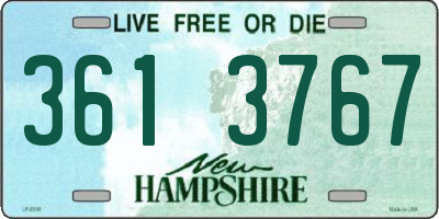 NH license plate 3613767