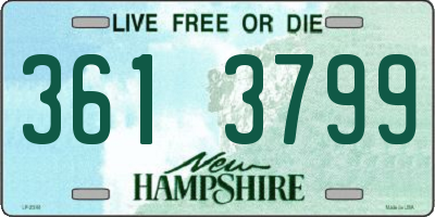 NH license plate 3613799