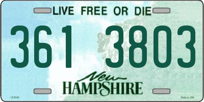 NH license plate 3613803