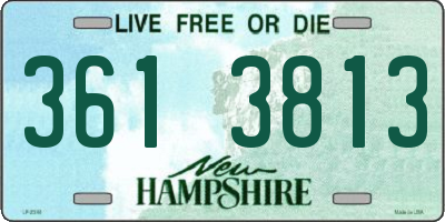 NH license plate 3613813
