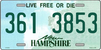 NH license plate 3613853