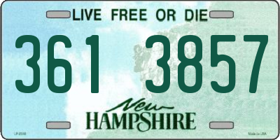 NH license plate 3613857