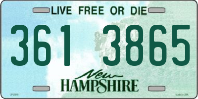 NH license plate 3613865