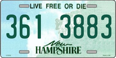 NH license plate 3613883