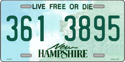 NH license plate 3613895