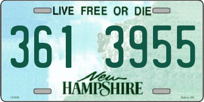 NH license plate 3613955