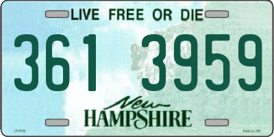 NH license plate 3613959