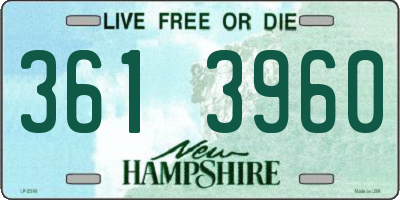 NH license plate 3613960