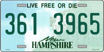NH license plate 3613965