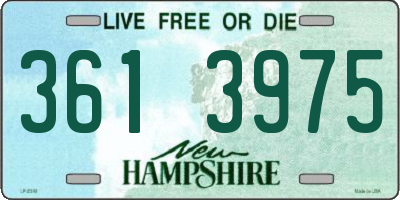 NH license plate 3613975