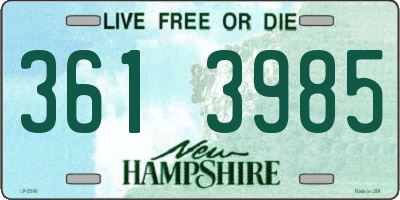 NH license plate 3613985