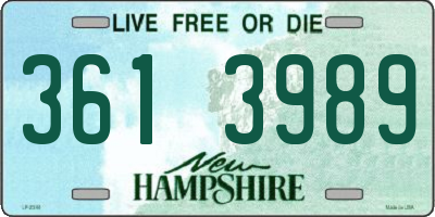 NH license plate 3613989
