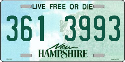 NH license plate 3613993