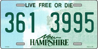 NH license plate 3613995