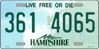 NH license plate 3614065