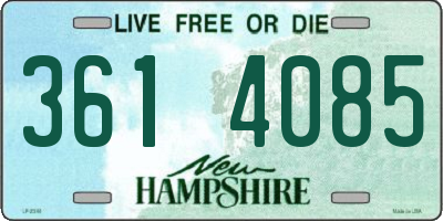 NH license plate 3614085