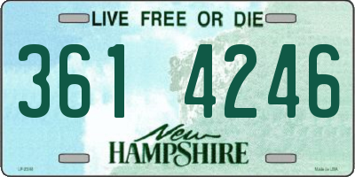 NH license plate 3614246