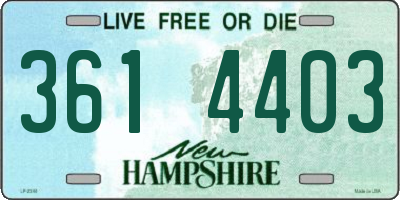 NH license plate 3614403